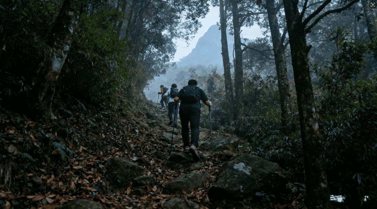 芒果加速器正确使用步骤与常见问题解决